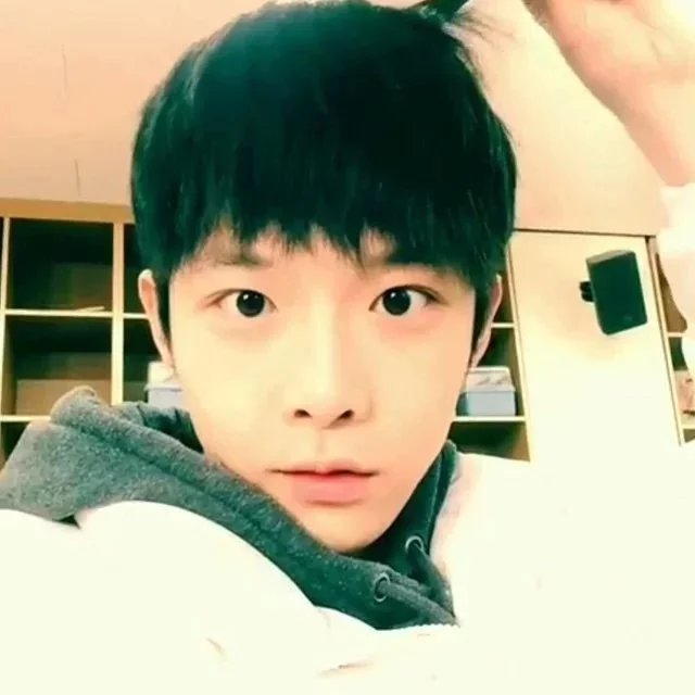 甄仁翠元