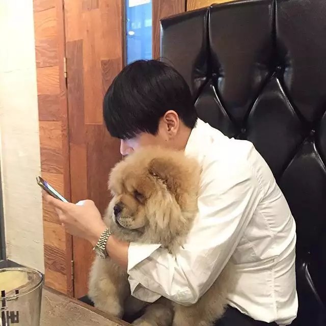 柯桂鸿昌