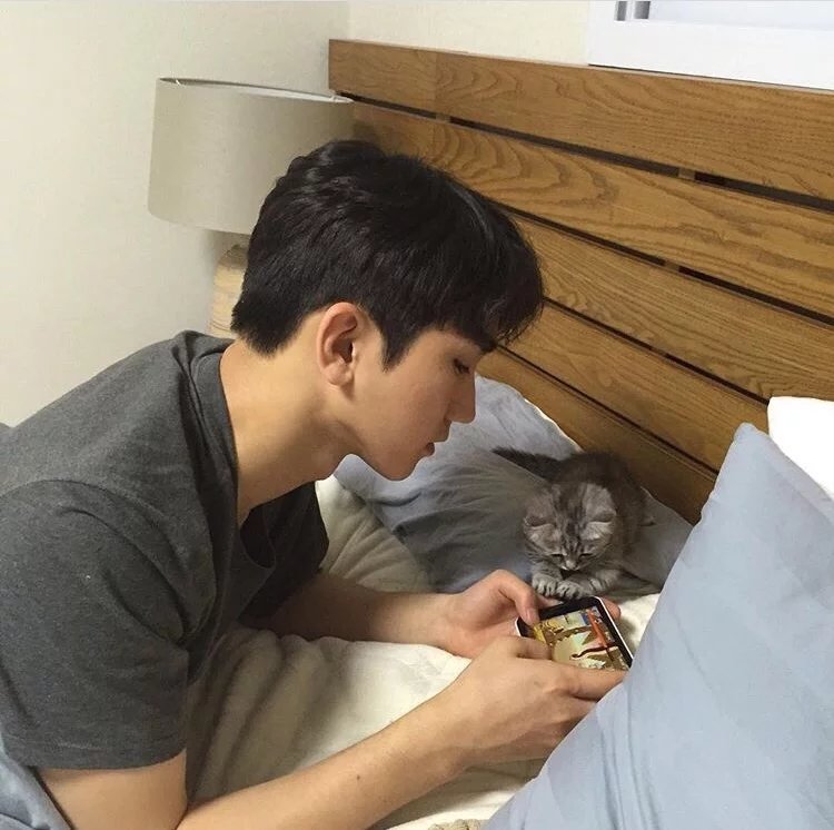 宗茜翠雁
