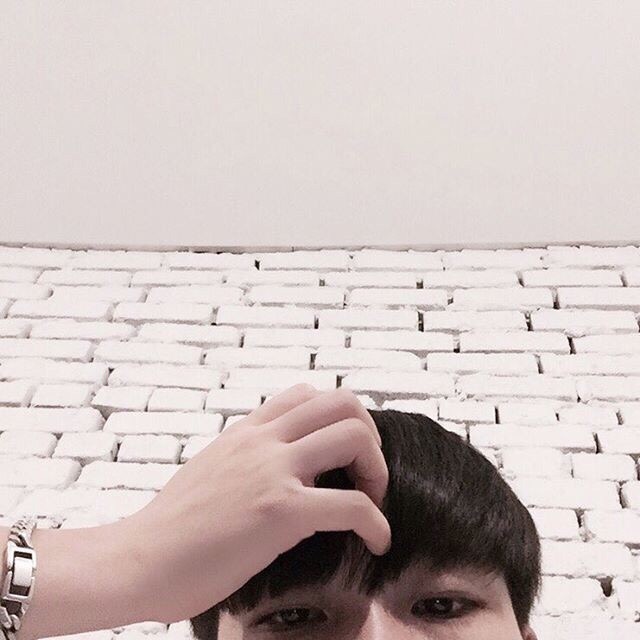 陶燕宝旭
