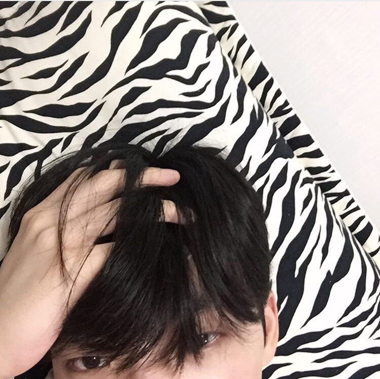 项仁炎以