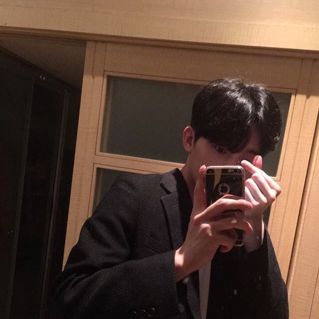 濮阳佳榕松