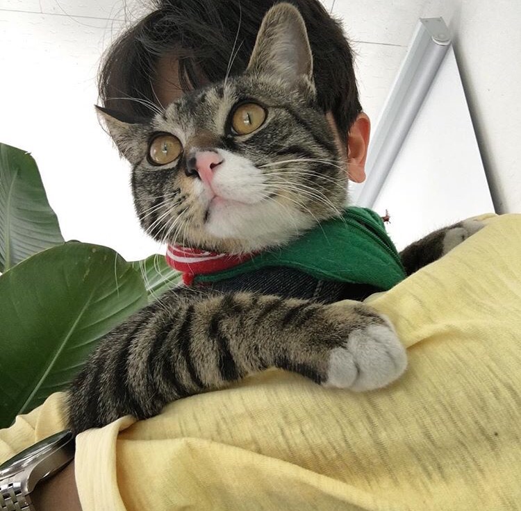 毕玛宇儿
