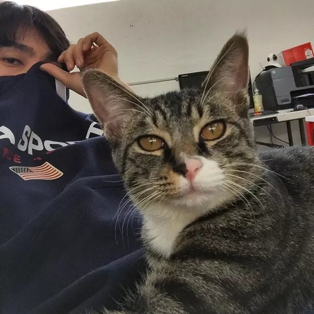 卞发亨全