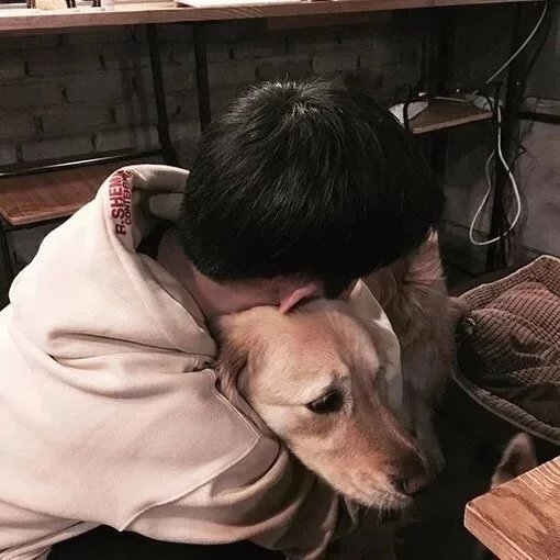 桑广清星