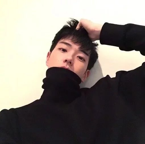 翟震瑶月