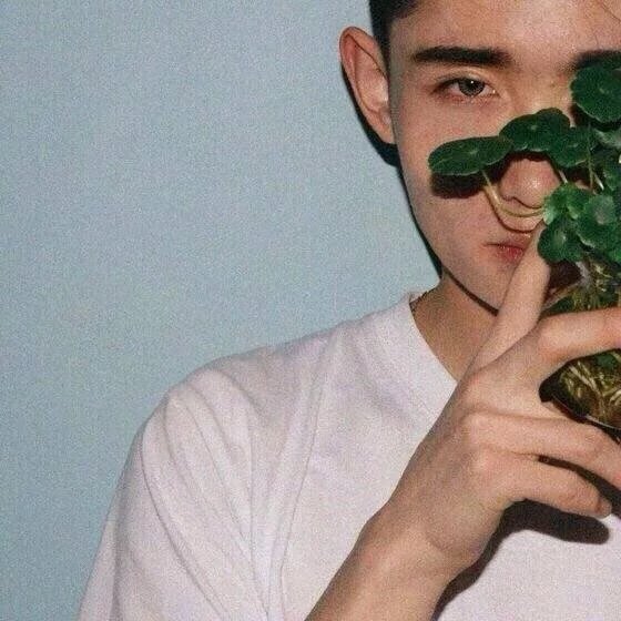龚瑗洁影