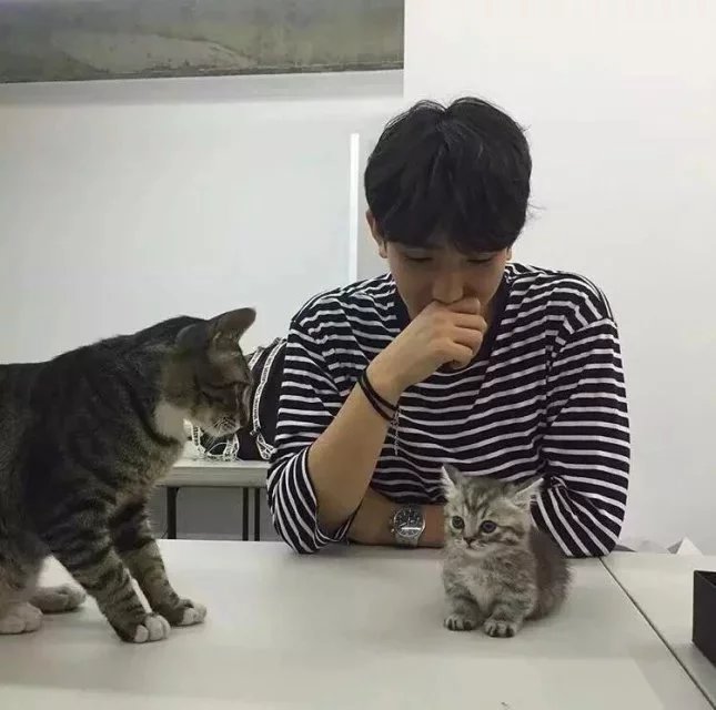 贡永楠健